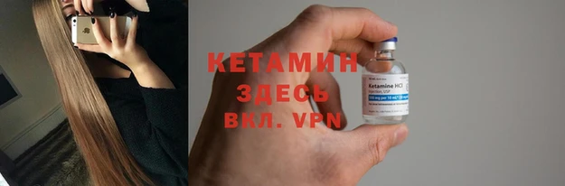 дмт Алзамай