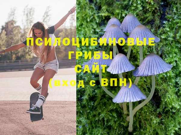 дмт Алзамай