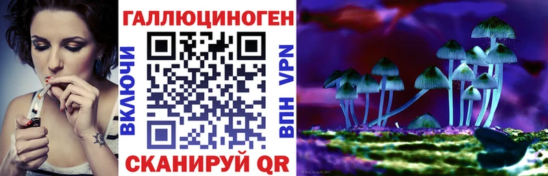 Псилоцибиновые грибы мицелий Ува